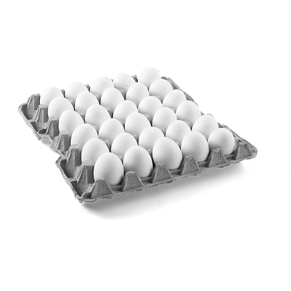 30m White Eggs Tray (unit)