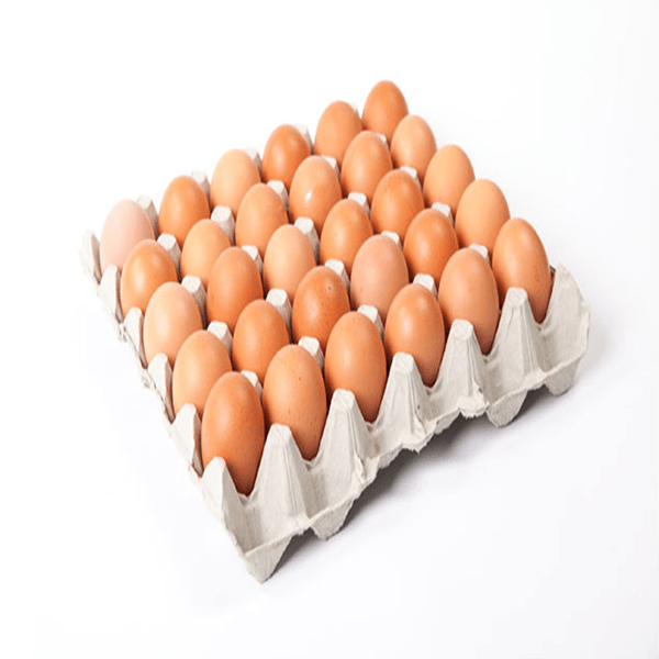 30m Brown Eggs Tray (unit)