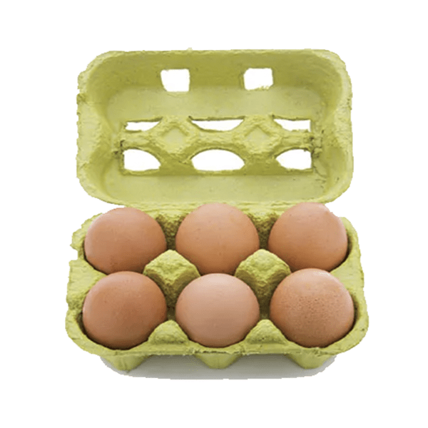 6 Large Brown Eggs 16 Trays