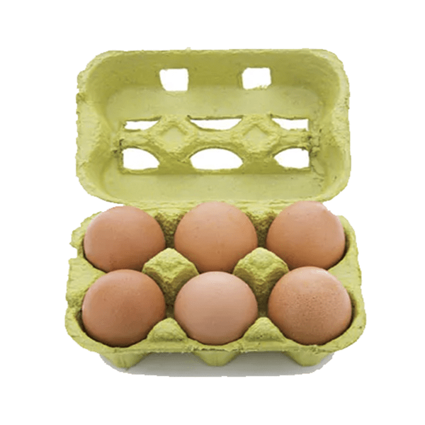 Eggs 6l Brown (case)