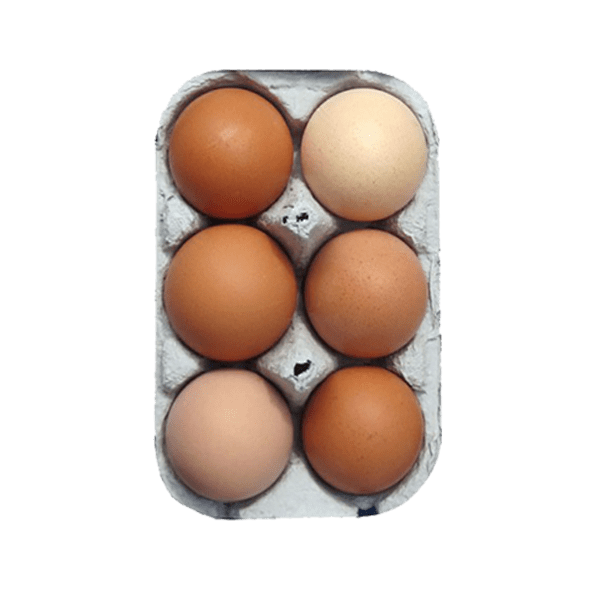 6 Large Free Range Eggs 16 Trays