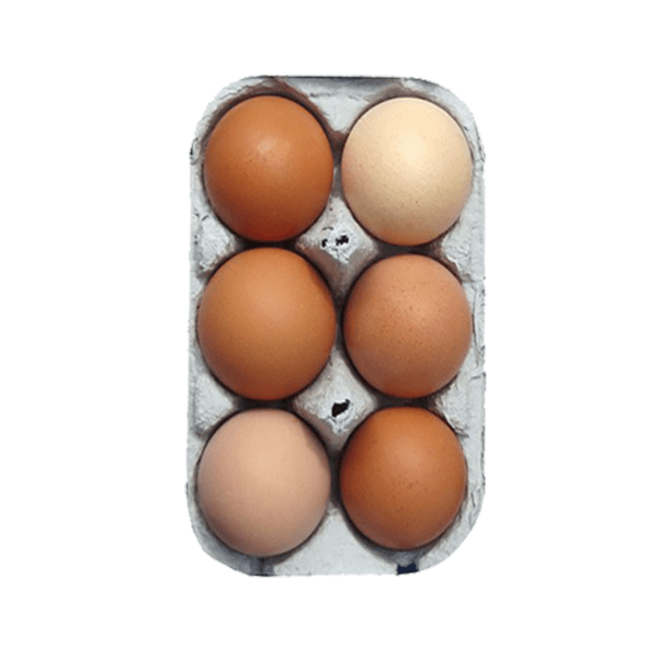 6 MEDIUM BROWN EGGS 6 X 16( TRAYS)