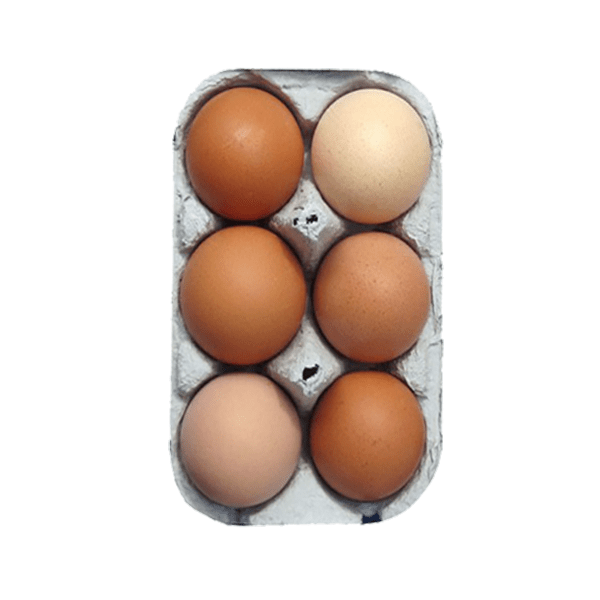 Eggs 6m Brown (unit)