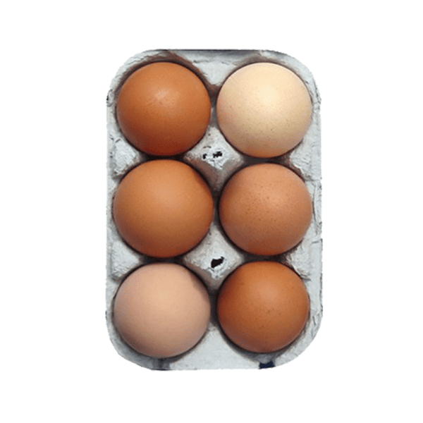 6 Medium Free Range Eggs - 16 Trays