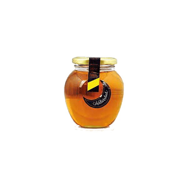 NATURBAL SYRUP HONEY 450G  (UNIT)