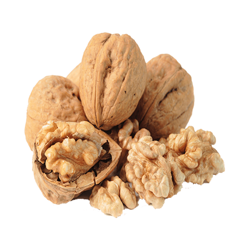 SANTA JUMB WALNUTS INSHELL 25KG