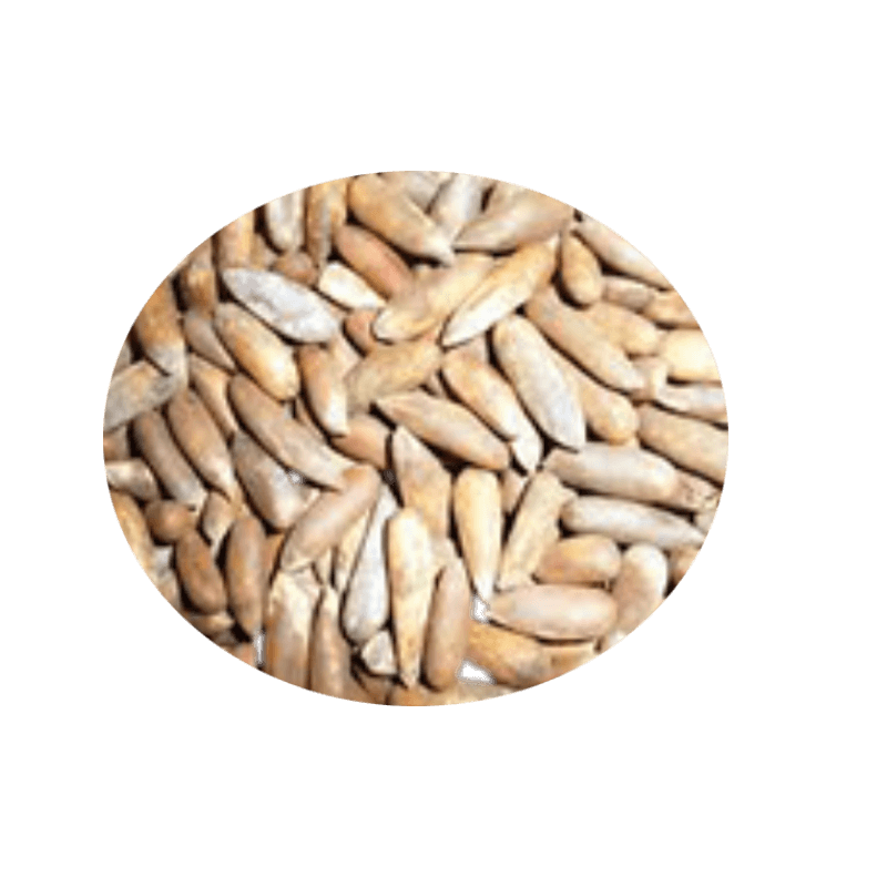 Kaif Pine Nuts (afghan) 10 Kg